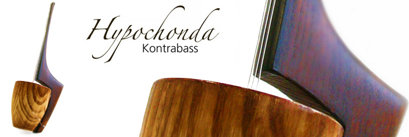 musikinstrument kontrabass saiteninstrument musik instrument protptyp modell saiten zupfinstrument Jonadesign Jona Design Zürich